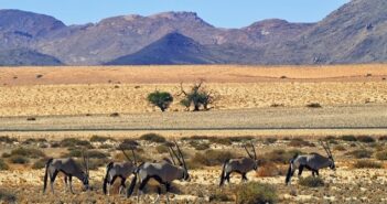 Immobilien in Namibia: Eine lohnenswerte Investition?