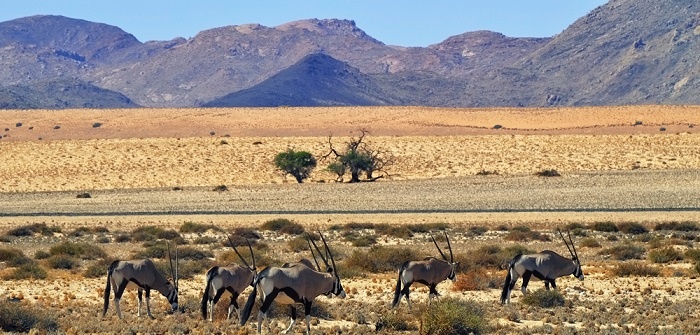Immobilien in Namibia: Eine lohnenswerte Investition?
