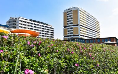 Sylt wird nur noch in seltenen Fällen neue Hotels bekommen. (Foto: AdobeStock - David 319044846)